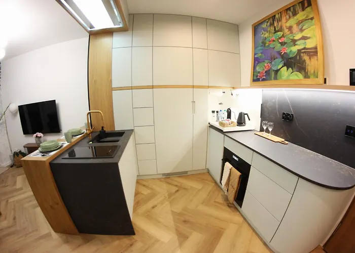 Nenufar Cracow Garden Parter Free Darmowy Parking Ogród Netflix Klimatyzacja Apartament Kraków