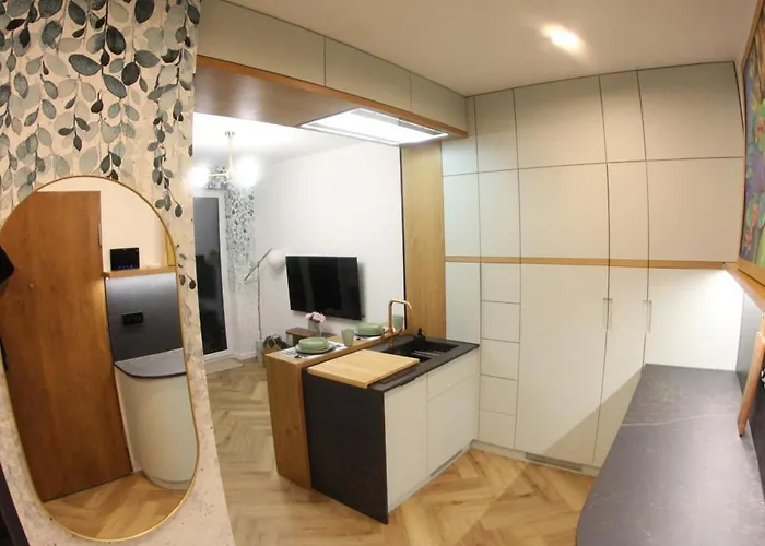 Nenufar Cracow Garden Parter Free Darmowy Parking Ogród Netflix Klimatyzacja Apartament